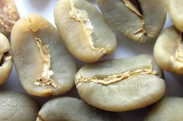 咖啡豆分級,指標(biāo),咖啡豆